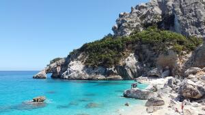 Тест. Что вы знаете о сардинах Сардинии?
