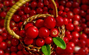 Какие плоды и ягоды помогут улучшить состояние здоровья?