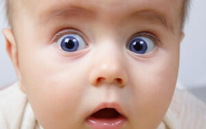 Правда ли, что удивление — половина удовольствия?