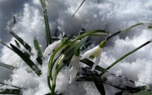 Что подарить женщине на 8 Марта?